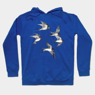 Blue Sky Swallow Flight Hoodie